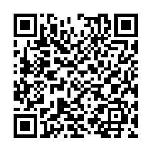 连芙蓉院的人都不愿意买下你……没用的东西……二维码生成