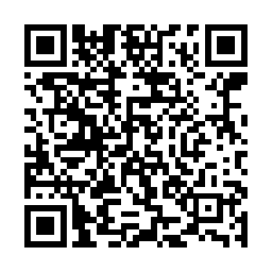 连西海龙宫排名前一百的法宝说收就轻轻松松给收了二维码生成