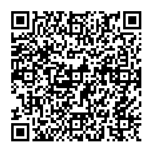 连远在深渊的冥王哈迪斯也要出来报仇……因为他座下的战宠地狱三头犬刻耳柏洛斯也被那个二维码生成
