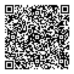 退路一封 只能上前 这传送通道之内 连接两个世界 若不是独木桥已断 又怎么会在下方峡谷内增加这么多冤魂二维码生成