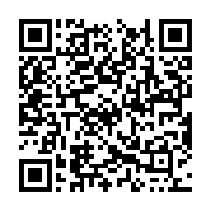 选择此选项将自动将该账户密码明文上传至您的k二维码生成