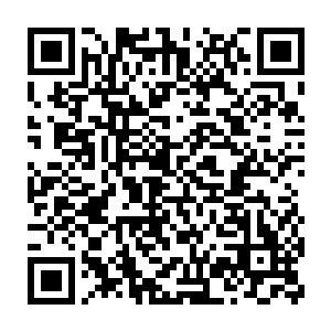 透过人缝看到他们几个人手忙脚乱的样子凌菲也不厚道的笑了起来二维码生成