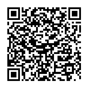 透过月光细细的打量起了眼前这个看不见他却毅然瞪着他的年轻女孩二维码生成