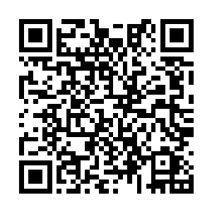 递上梦星缘等人的试炼身份铭牌和他们各自的包裹二维码生成