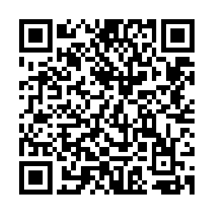 通向屋外的所有门和不需要使用的楼梯井都用家具和废弃物堵塞二维码生成