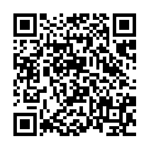 通过交巡警系统很快查询到结果让这边三人啼笑皆非二维码生成