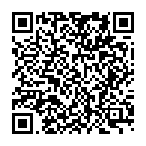 造成死伤的主因是通天教在轩辕之丘内的一干人马和通天教的各种布置二维码生成