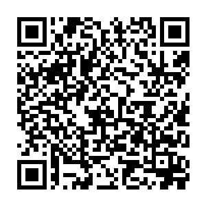 遁地神猿血脉施展后所增强的圣体在这一刻将全部力量汇聚到了这一拳当中二维码生成