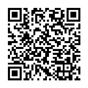 遍布在他们晶铠上的晶磁炮和蜂巢式微型飞剑发射单元二维码生成