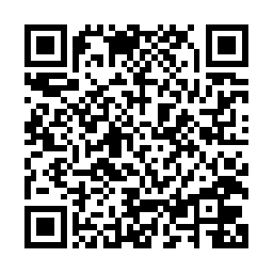 道斯几乎是第一时间就举起了手中的相机――这就是职业反应二维码生成