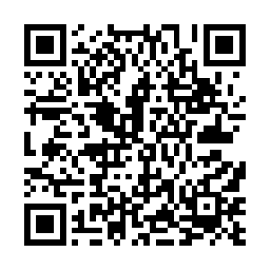 道氏家族的那名无极境所幻化出的大手已经镇压了下来二维码生成