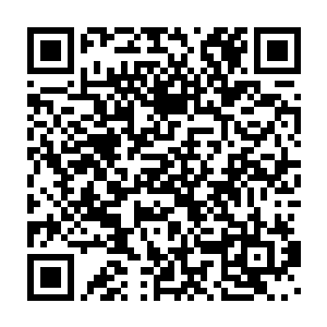 道级丹药……甚至还有一个神皇拿出了一尊初期人尊级别的傀儡……二维码生成