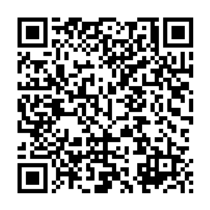 避免造成更多伤亡……我还是对这辆车有信心不会伤及无辜市民的二维码生成