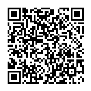 邓铮前世里那位没有实质印象只存在自己幻想和别人聊天里的母亲二维码生成