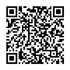 那……那公孙家有没有讲治愈癌症还有其他绝症的方法传授下来二维码生成