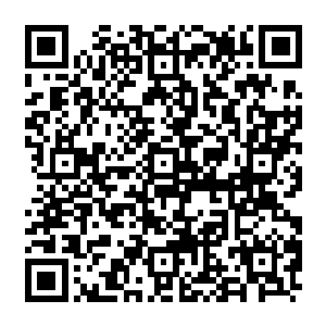 那一个圣级五层和一个圣级六层的修士距离他们两个的对手祝融烈和石重相差太远二维码生成