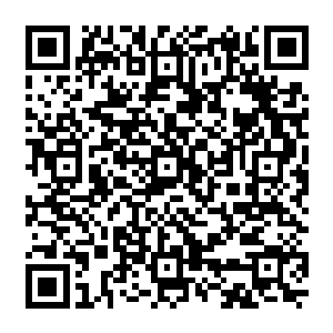 那一具活生生的人肉身体就在无数涌入甲板上的人惊骇的目光之中存存变成一架干瘪的尸体二维码生成