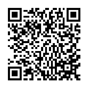 那一刻就是我将无情石和有情泉完全融合形成生死轮回的一刻二维码生成