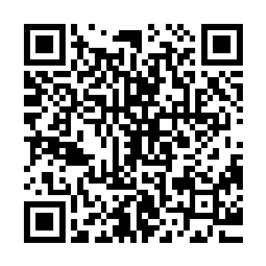 那一块五彩的升级宝石此刻也是完全融入了这本技能书里面去了二维码生成