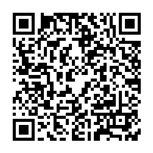那一片小叶子上时不时会有一段段的特殊灵气和聂隐之间形成联系二维码生成