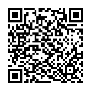 那一脸得意的贱样恨不得让人狠狠的抽上他一巴掌二维码生成