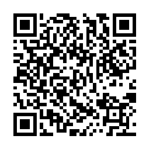 那不是因为镇南王世子自信满满一定能大败咱们么二维码生成