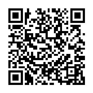 那与血妖姬们曾在修真界的海族巢穴见过的那一根枝桠几近相似二维码生成