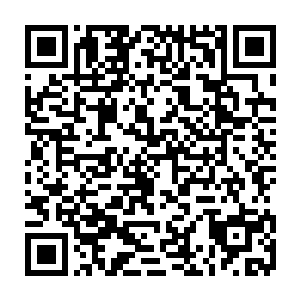 那东越遗留下来的孤魂野鬼轻描淡写一一破去徐凤年并无套路可言的招式二维码生成