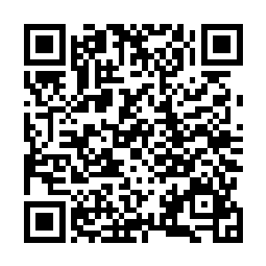 那个乡村医生还是一脸不敢相信的样子看着翠翠婆婆的腿二维码生成