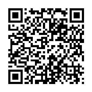 那个你有没有设定什么好的法律法规来管理这个世界啊二维码生成