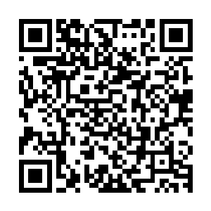 那个双肘撑在沙土包上的家伙笑呵呵的收了电筒就使劲伸手去接二维码生成