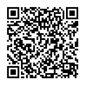 那个可爱的小天使……她还那么小……抱在怀里像只乖巧的小猫……二维码生成