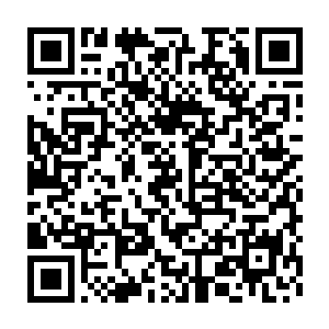 那个和自己一起生活了好几个月的日本人估计也是莫小鱼他们的人二维码生成
