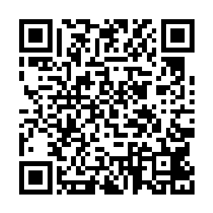 那个所谓的法律专家还在不同的刊物上发表文章二维码生成