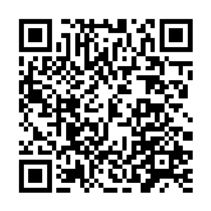 那个敢拿小学生做试验的家伙就会对小惠下什么毒手二维码生成