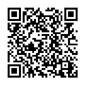 那个无论发生什么事都坚定的相信唐劫不会死的许妙然二维码生成