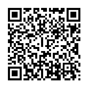 那个江大夫怎么用红线把公符鸡和凤妹子连在一起呢二维码生成