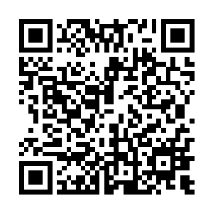 那个油炸丸子……和他之前所用过和见过的都完全不同二维码生成