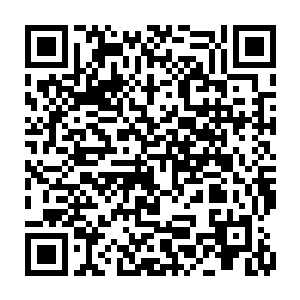 那个浑身是血的卡姆特还在用自己唯一能够动弹的牙齿死死地咬着操作杆二维码生成