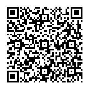 那个要是让白芷璃知道东黎墨现在只是站在一边云淡风轻地看着自己这么焦躁的样子二维码生成