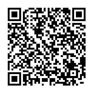 那个这个鸾凰族将很有可能会成为我们利用赤巢重铸五灵根的最大障碍二维码生成