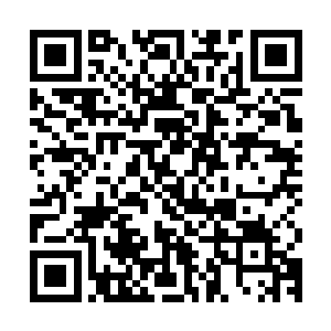 那个酒楼的伙计和那个什么执法队的修士不是刚刚被我杀掉了吗二维码生成