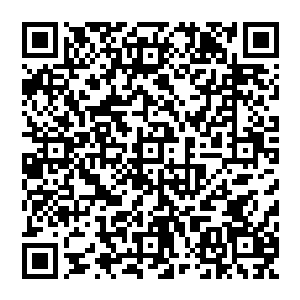 那个金发少年离开后她也带着温宝儿离开了交易中心随意寻了一个路口穿越结界回到了碧落门中二维码生成