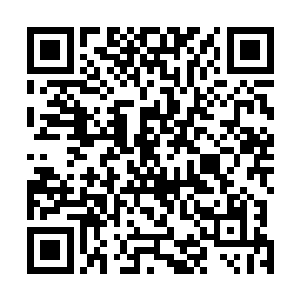 那么……她的肩膀上就扛着修罗族数百万族人的生死攸关二维码生成