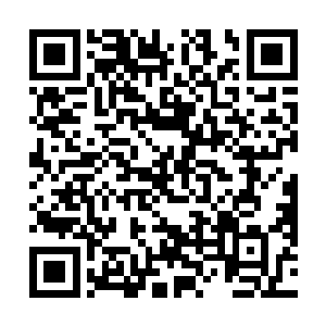 那么……这人真的厉害到足以秒杀小圆满一重天的程度二维码生成