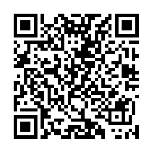 那么……这群狼还不很快就在自相残杀中死得干干净净了二维码生成