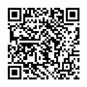 那么下一次……我不介意直接把它塞到你的那张臭嘴里去二维码生成