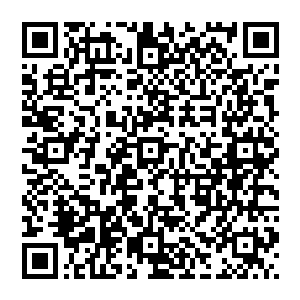 那么任命自己担任管委会副主任很大程度就是因为当时管委会的确缺乏一个能把工作拿起来的角色二维码生成