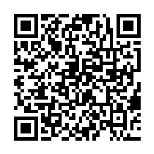 那么剩下的人会被挽风界主安排到本体的混沌星域中二维码生成