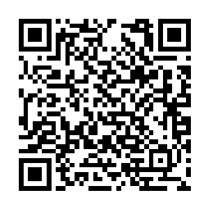 那么双峰县城改造建设项目就要由你们来主导得了二维码生成